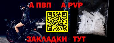 ешки Кингисепп