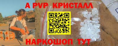 ешки Кингисепп