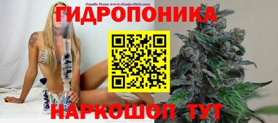 спиды Кинель