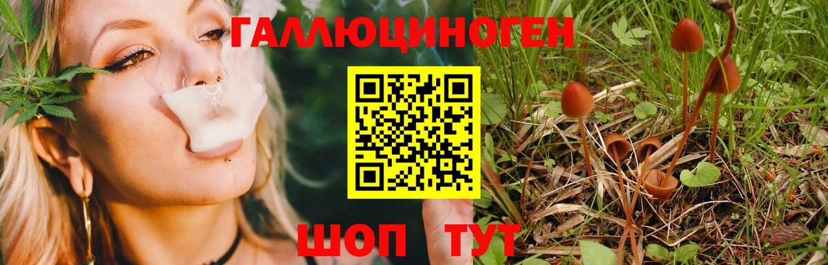 Конаково  Галлюциногенные грибы мицелий  Вход с VPN 